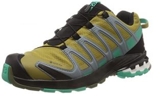 SALOMON Herren Xa Pro 3D V8 GTX Shoes Laufschuhe