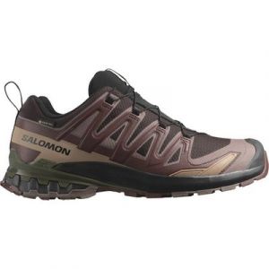 Salomon SHOES XA PRO 3D V9 GTX Blkcof/Rum Ra/Olv 000 Laufschuh