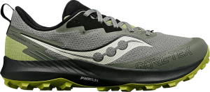 Trail-Schuhe Saucony PEREGRINE 14 GTX