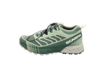 Scarpa Adult Ribelle Run GTX Lady grün Gr. 40?