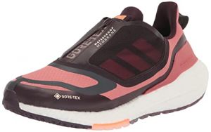 adidas Damen Ultraboost 22 GTX Laufschuh