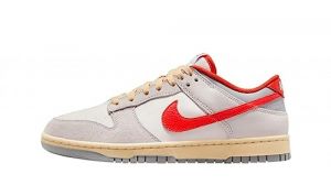 18 Nike Dunk Low FJ5429-133 [EU 44 US 10]