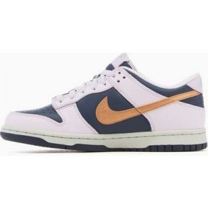 Nike Sportswear Dunk Low SE Copper Swoosh GS Sneaker limitierte Auflage