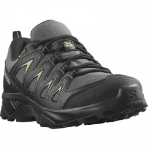 Salomon Wanderschuh "X BRAZE GORE-TEX", wasserdicht