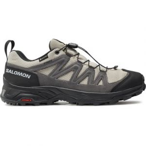 Trekkingschuhe Salomon X Ward Leather GORE-TEX L47182100 Beige