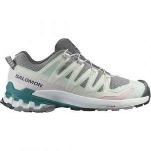 Salomon Shoes XA PRO 3D V9 W Gull/White/Bleaaq 000-7/40.5