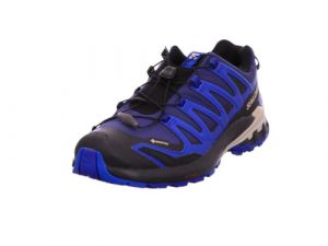 Salomon Herren XA PRO 3D V9 GTX Wanderschuh