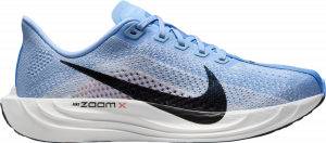 Laufschuhe Nike Pegasus Plus