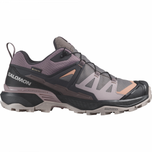 Salomon X Ultra 360 GTX