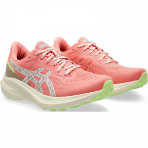 Asics Laufschuh "GT-1000 13 TR"
