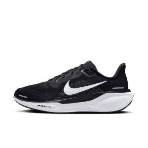 Pegasus 41
