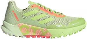 Trail-Schuhe adidas TERREX AGRAVIC FLOW 2 GTX W