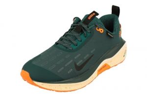 Nike ReactX Infinity RN 4 GTX Herren Running Trainers FB2204 Sneakers Schuhe (UK 11 US 12 EU 46