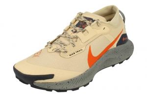 Nike Herren Pegasus Trail 3 Gore-Tex Running Shoes