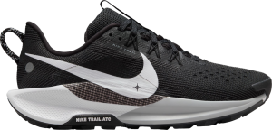Trail-Schuhe Nike Pegasus Trail 5