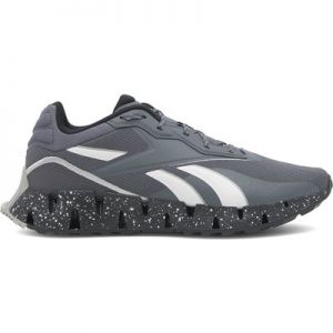 Laufschuhe Reebok Zig Dynamica 4 Adventure 100074699 Grau