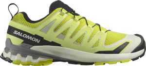 Trail-Schuhe Salomon XA PRO 3D V9