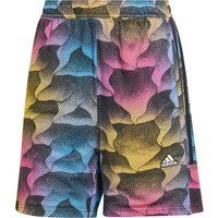 adidas Tiro Shorts Damen