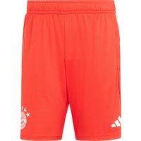 adidas FC Bayern München Shorts Herren