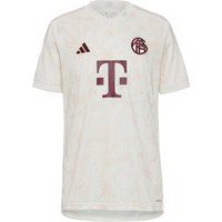 adidas FC Bayern München 23-24 3rd Teamtrikot Herren