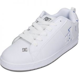 DC Shoes Court Graffik Skateschuh White Roal Grey